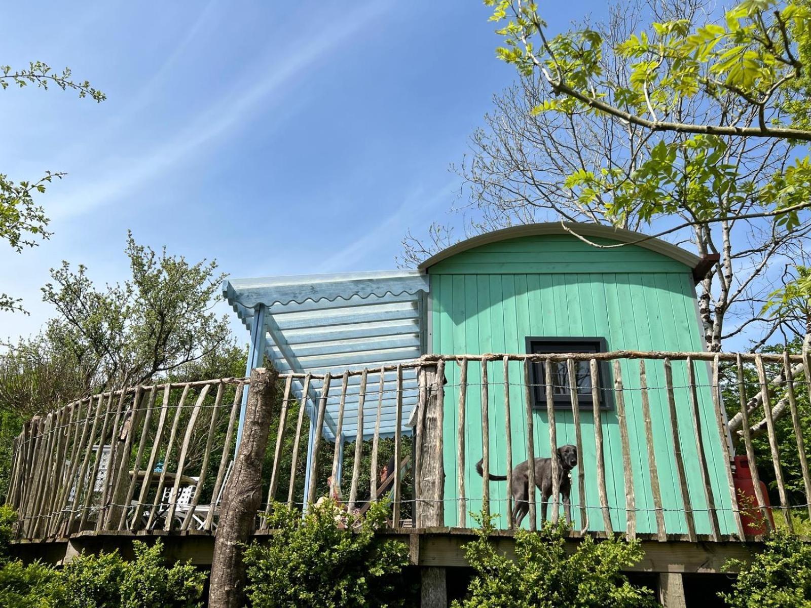 Long Bredy Lapin Cottage מראה חיצוני תמונה
